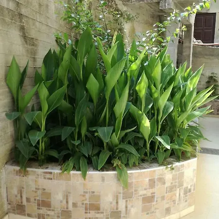 Mario Appartement